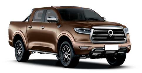 Haval GWM Poer Коричневый