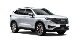 Haval H6 PHEV Белый/White agate